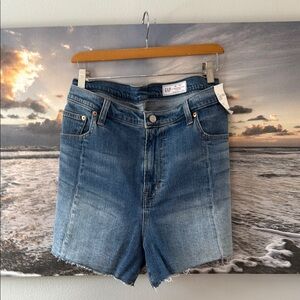 NWT Gap Women's Blue Denim Shorts - 35/20R
